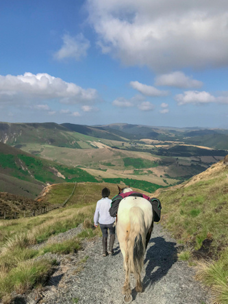 Galopp Wales